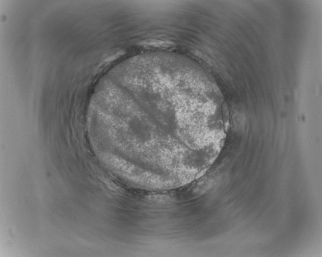 X0000074931297200609291747