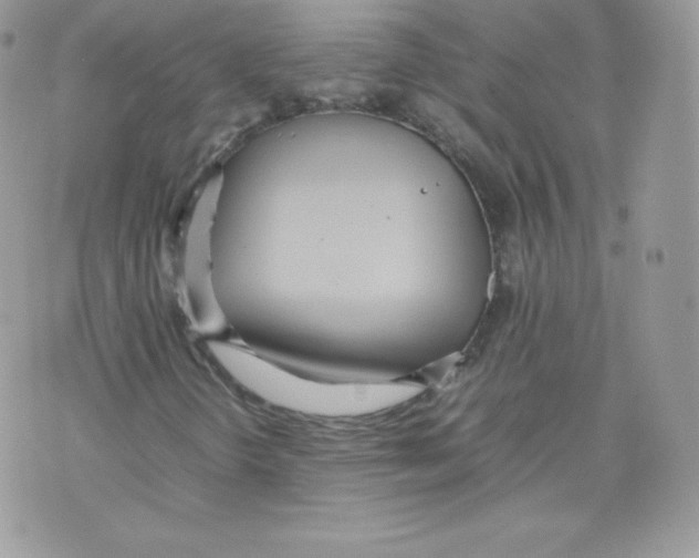 X0000074931298200609291747