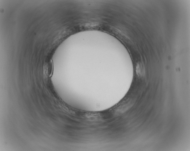 X0000074931299200609291747