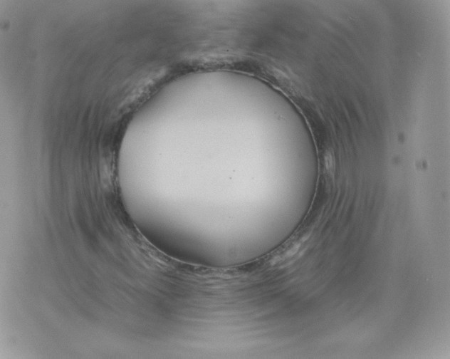 X0000074931300200609291747