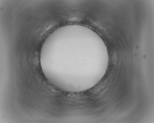 X0000074931301200609291747