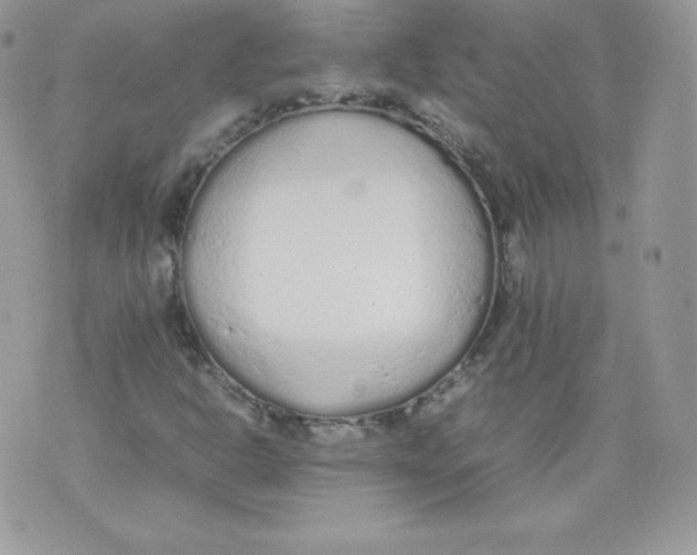 X0000074931302200609291747