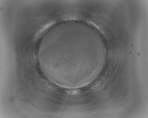 X0000074931303200609291747