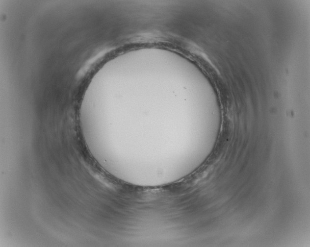 X0000074931304200609291747