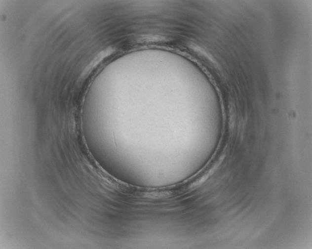 X0000074931305200609291747