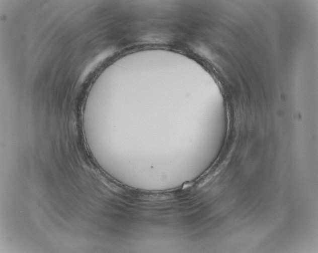 X0000074931307200609291747