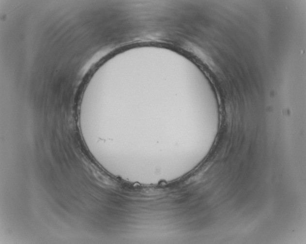 X0000074931308200609291747