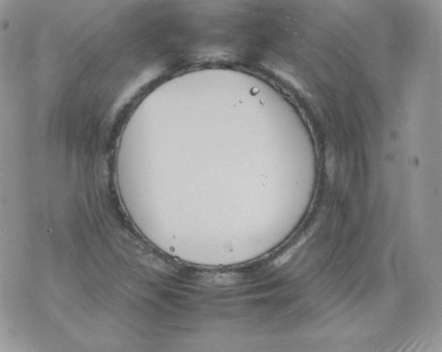 X0000074931309200609291747