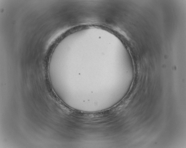 X0000074931311200609291747