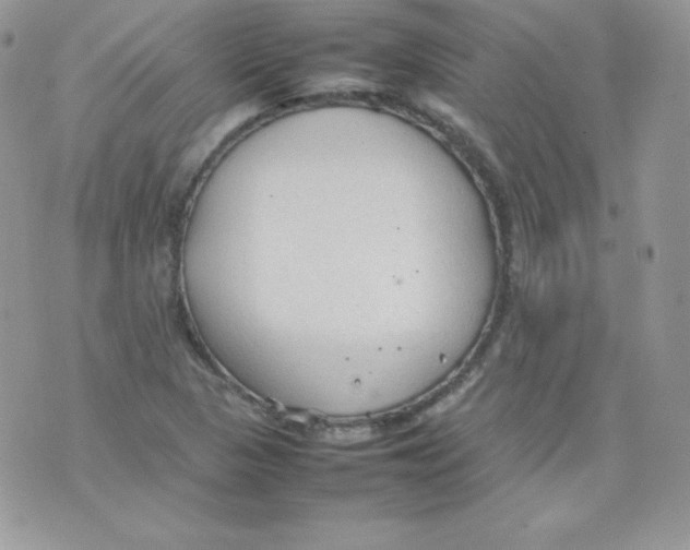 X0000074931313200609291747