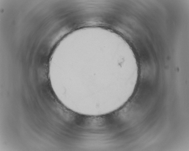 X0000074931314200609291747