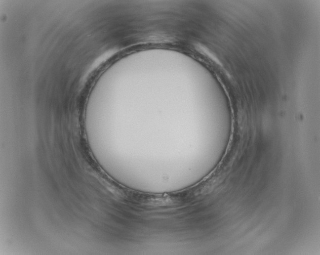 X0000074931315200609291747