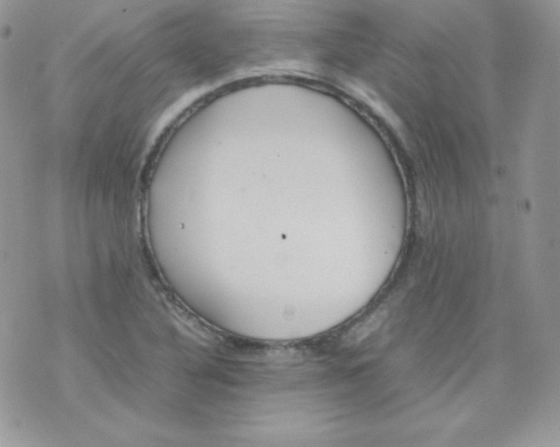 X0000074931316200609291747