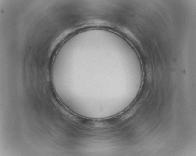 X0000074931318200609291747