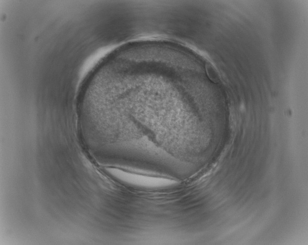 X0000074931319200609291747