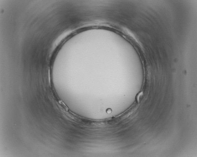 X0000074931320200609291747