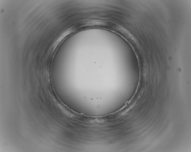 X0000074931321200609291747