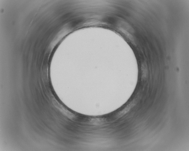 X0000074931322200609291747