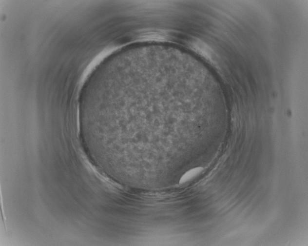 X0000074931323200609291747