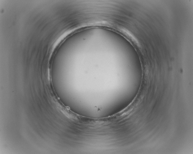 X0000074931324200609291747