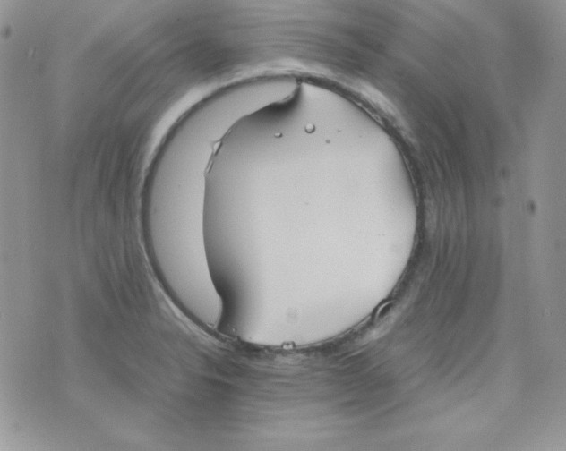 X0000074931326200609291747