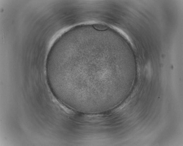 X0000074931327200609291747