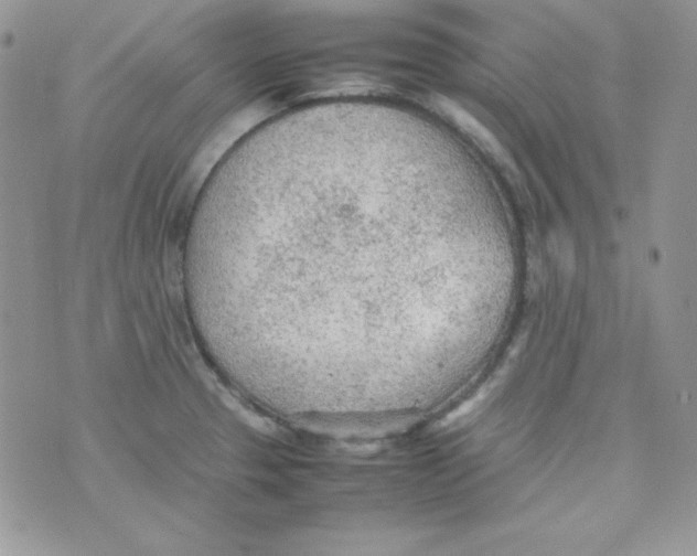 X0000074931329200609291747