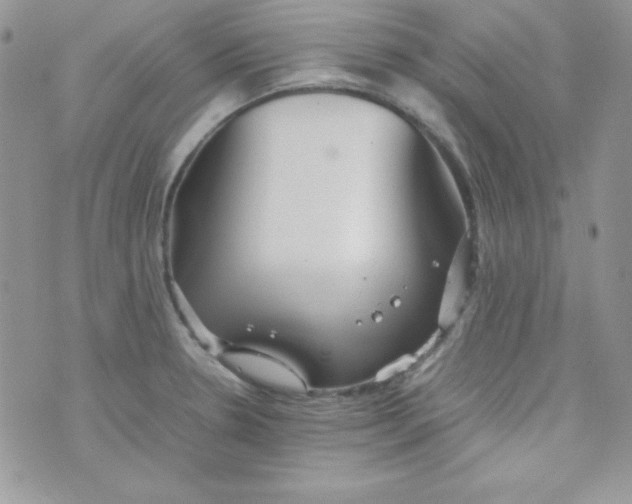 X0000074931330200609291747