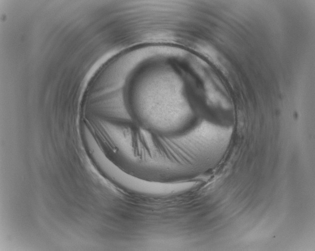 X0000074931331200609291747