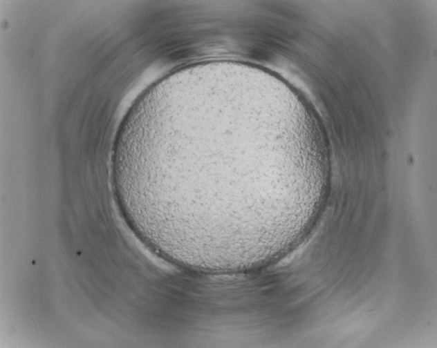 X0000074931333200609291747