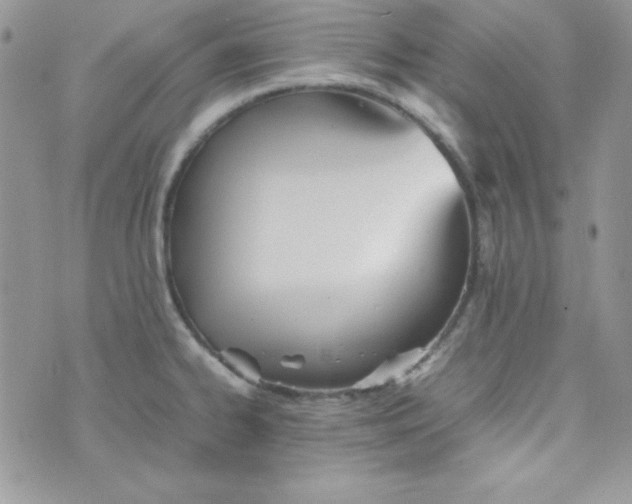 X0000074931334200609291747