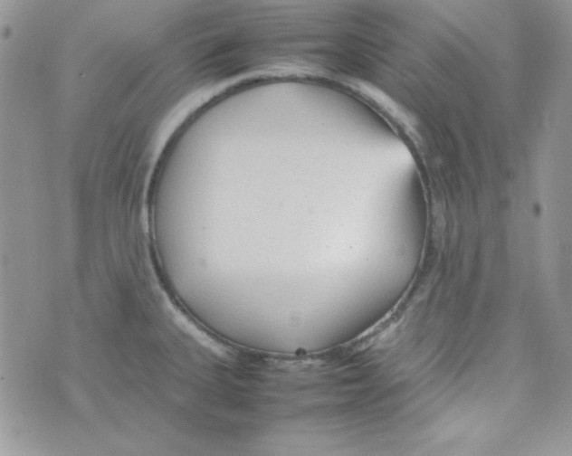 X0000074931335200609291747