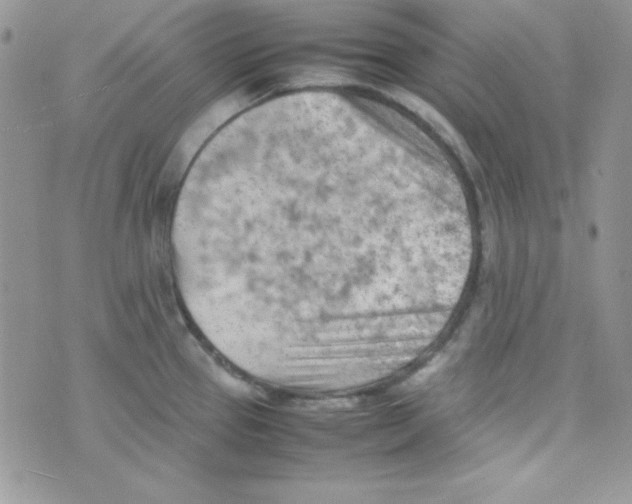 X0000074931337200609291747