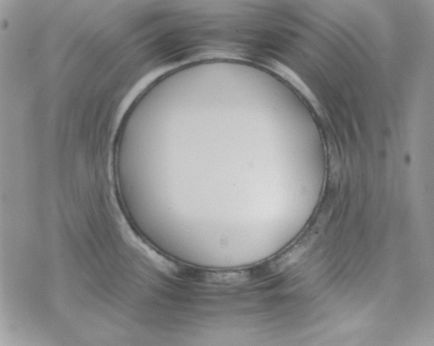 X0000074931339200609291747