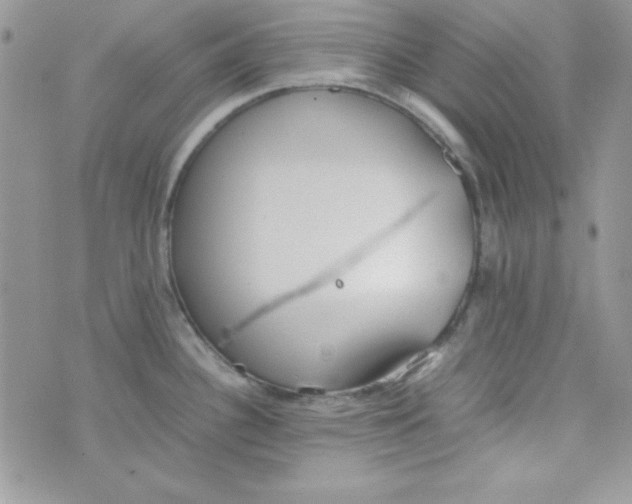 X0000074931340200609291747