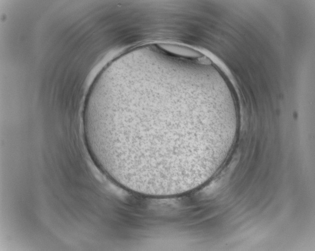 X0000074931341200609291747