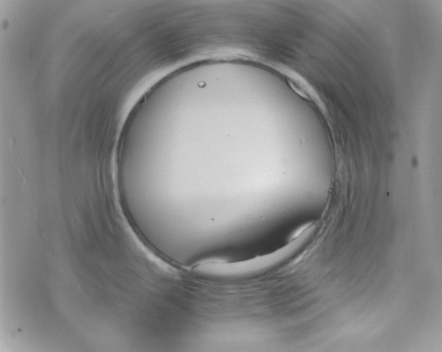 X0000074931343200609291747