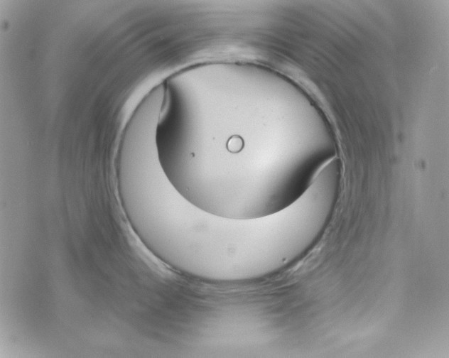 X0000074931344200609291747