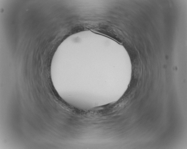 X0000074931345200609291747