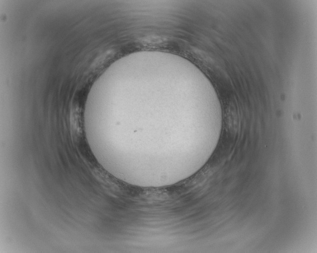 X0000074931346200609291747