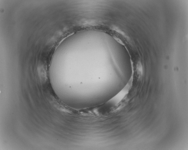 X0000074931348200609291747