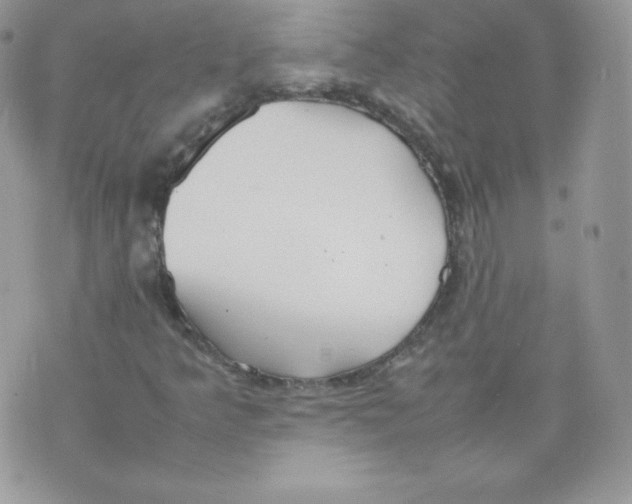 X0000074931349200609291747