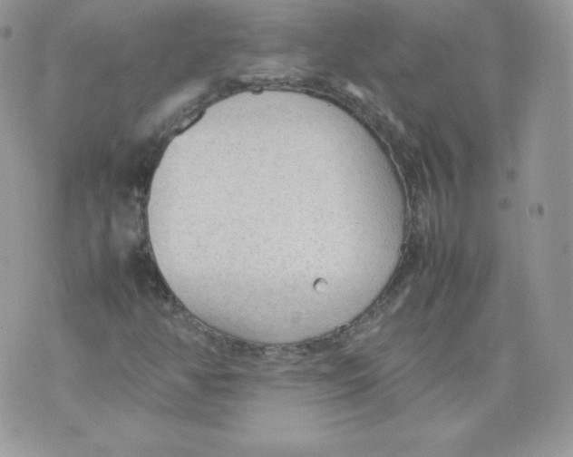 X0000074931350200609291747