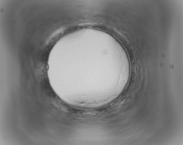 X0000074931351200609291747