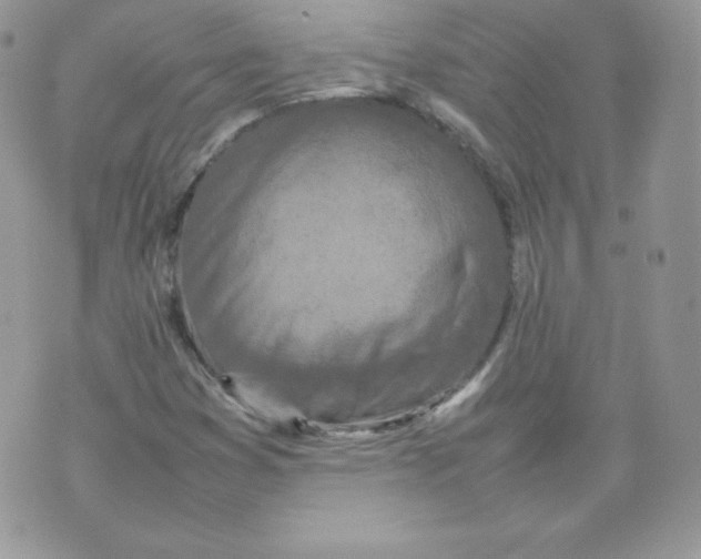 X0000074931353200609291747