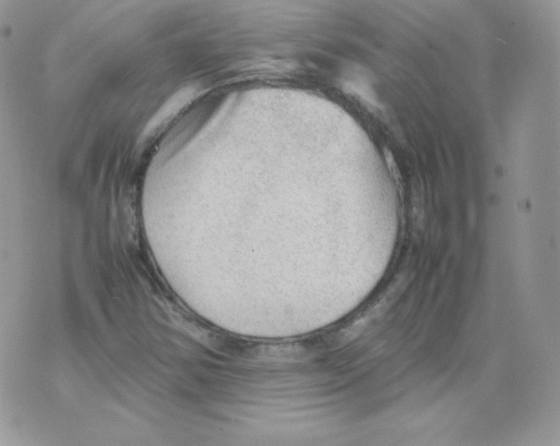 X0000074931354200609291747