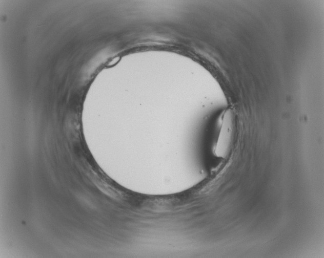 X0000074931355200609291747