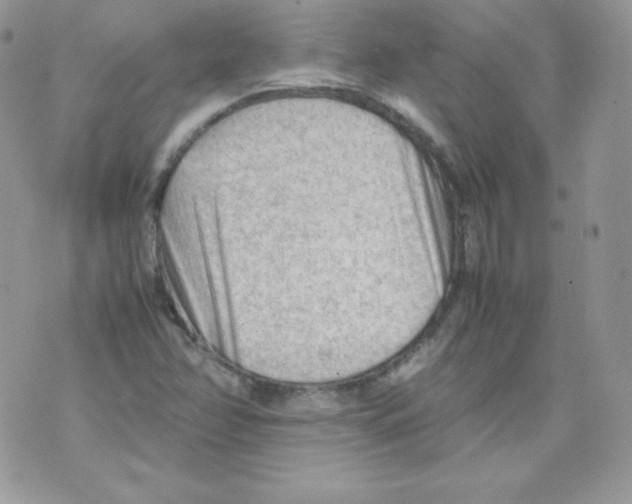 X0000074931358200609291746