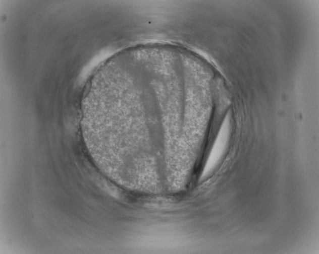 X0000074931359200609291746