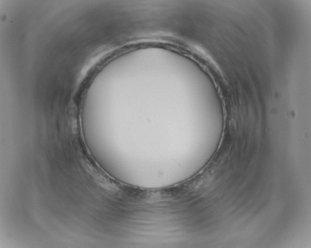 X0000074931360200609291746